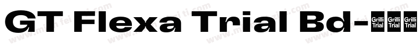 GT Flexa Trial Bd字体转换
